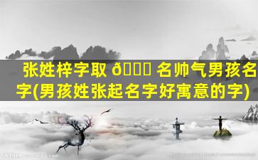 张姓梓字取 🍀 名帅气男孩名字(男孩姓张起名字好寓意的字)